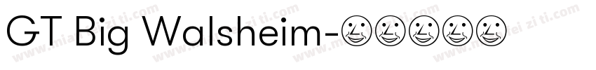 GT Big Walsheim字体转换